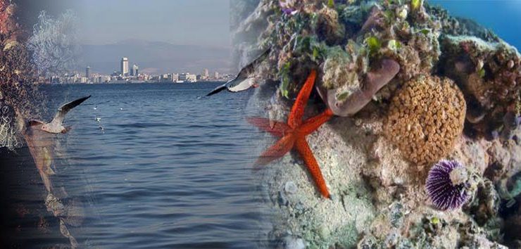 İzmir Körfezinde Tablo Gibi Kareler!..