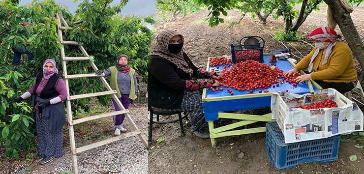 İzmir Dayanışması Büyüyor!..