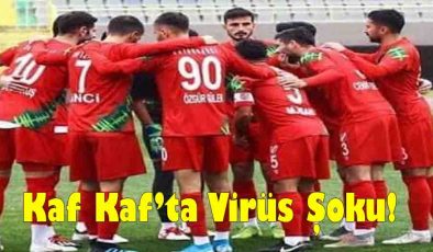 Kaf Kaf’ta Virüs Şoku!..