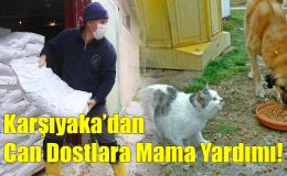 Karşıyaka’dan Can Dostlara Mama Yardımı!..