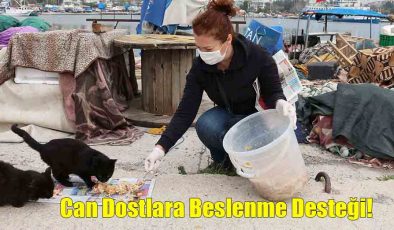 Can Dostlara Beslenme Desteği!..