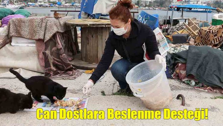 Can Dostlara Beslenme Desteği!..