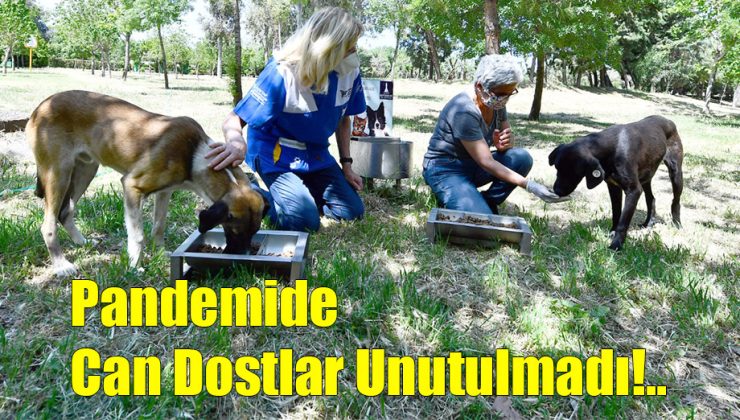 Pandemide Can Dostlar Unutulmadı!..