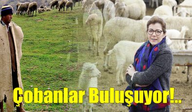Çobanlar Buluşuyor!..