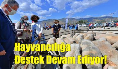 Hayvancılığa Destek Devam Ediyor!..