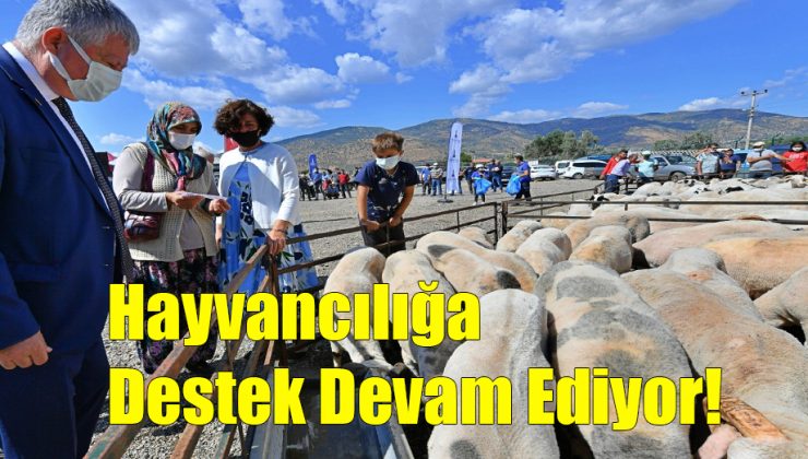 Hayvancılığa Destek Devam Ediyor!..