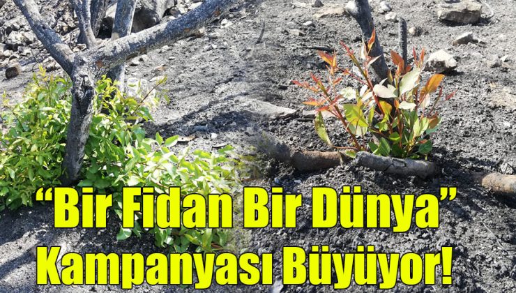 “Bir Fidan Bir Dünya” Kampanyası Büyüyor!