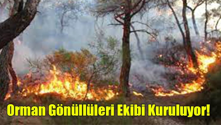  Orman Gönüllüleri Ekibi Kuruluyor!