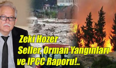 Seller, Orman Yangınları ve IPCC Raporu