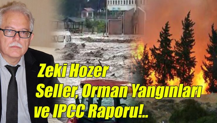 Seller, Orman Yangınları ve IPCC Raporu