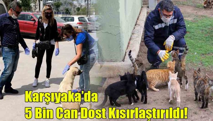 Karşıyaka’da 5 Bin Can Dost Kısırlaştırıldı!
