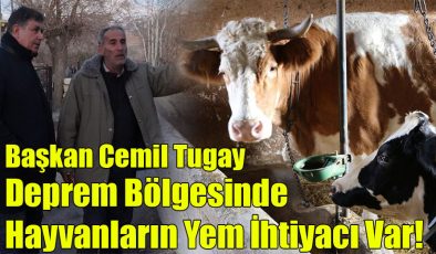 Başkan Cemil Tugay; Deprem Bölgesinde Hayvanların Yem İhtiyacı Var…