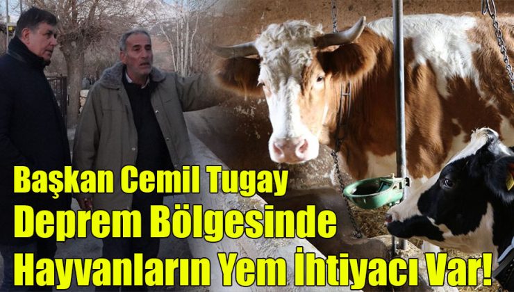 Başkan Cemil Tugay; Deprem Bölgesinde Hayvanların Yem İhtiyacı Var…