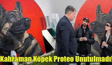 Kahraman Köpek Proteo Unutulmadı!