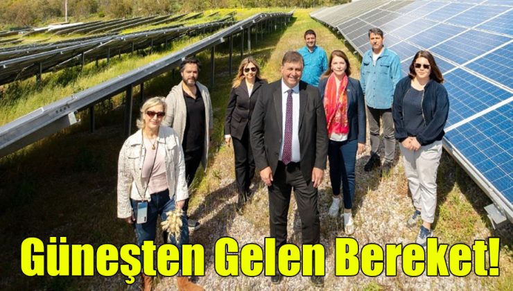 Güneşten Gelen Bereket!