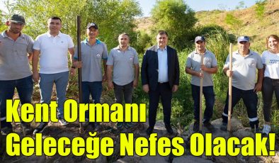 Kent Ormanı Geleceğe Nefes Olacak!