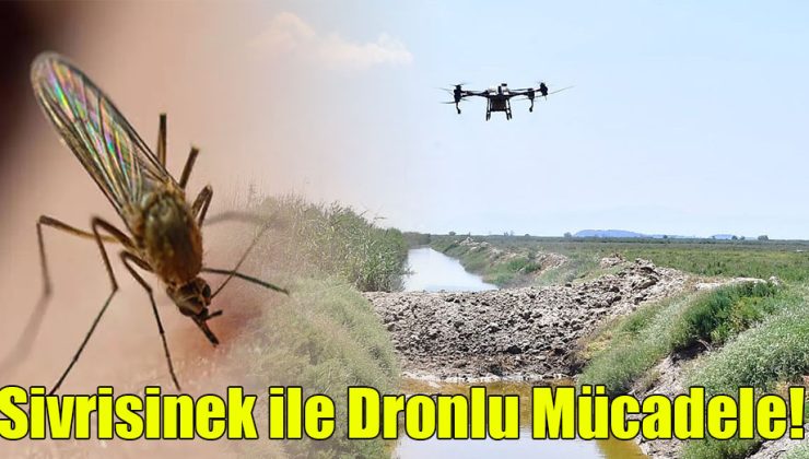 Sivrisinek ile Dronlu Mücadele!
