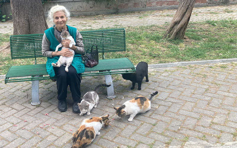 Aynur Demirtaş, Protokol Müdürüydü “Kedici Teyze” Oldu!