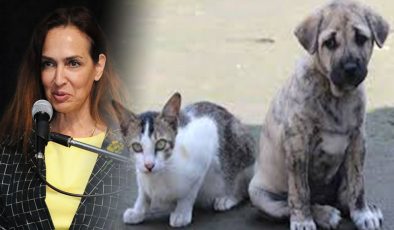 Başkan Yıldız Ünsal “İzmir’i Ayağa Kaldıralım!”