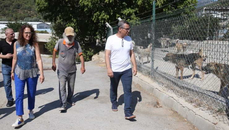 Başkan Yıldız Ünsal; “Yaşam Hakkı Kutsaldır!”