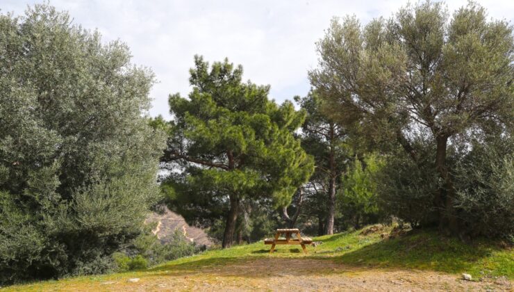 Yamanlar Piknik Alanı Yeni Sezona Hazır!
