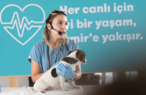 Sahipsiz Hayvanlara Kötü Muamele Son Bulsun!