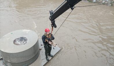 Dereye Düşen Köpek İtfaiye Ekipleri Tarafından Kurtarıldı!