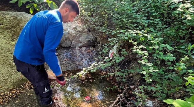 İzmir’de Sivrisineğe Karşı Dev Mücadele!