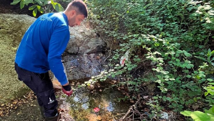 İzmir’de Sivrisineğe Karşı Dev Mücadele!