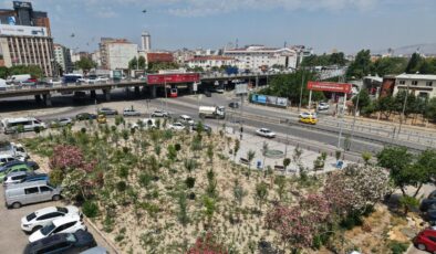 Eski Benzinlik Alanı Yeşile Büründü!